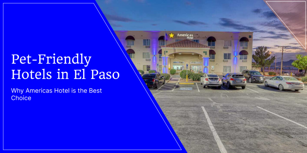 Pet-Friendly Hotels in El Paso: Why Americas Hotel is the Best Choice